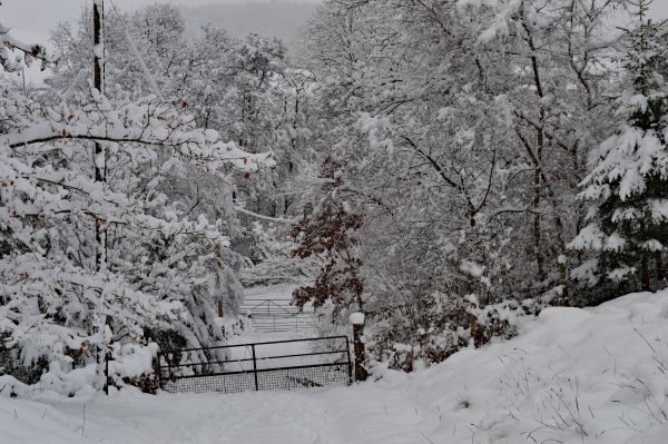 'Snowed In' by Peter of Droitwich Spa & District u3a