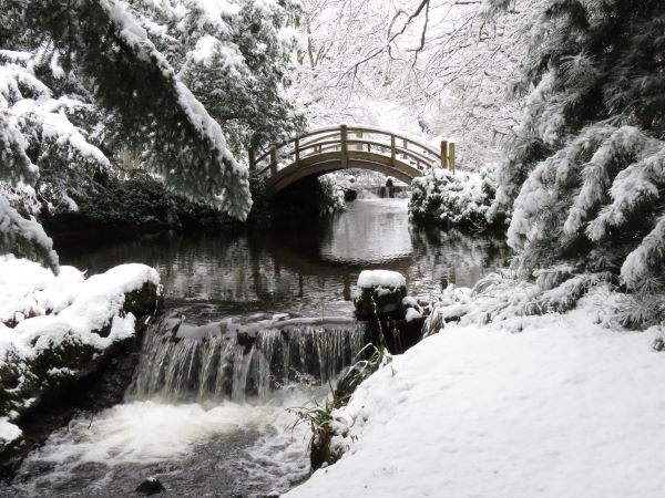 'Snowed In' by Timothy Wright of Orkney u3a