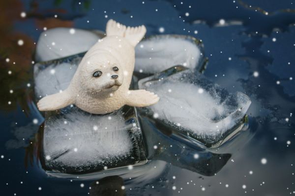 'On the Ice Flow' by Daniel Gillian of Ballymoney u3a