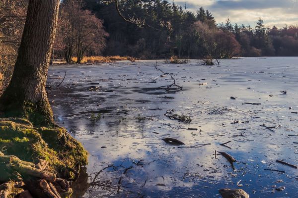'Frozen Lake' by Brian Moore of Belfast u3a