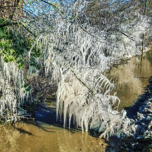 'Frozen Splash' by Bill Raynor of Sleaford u3a