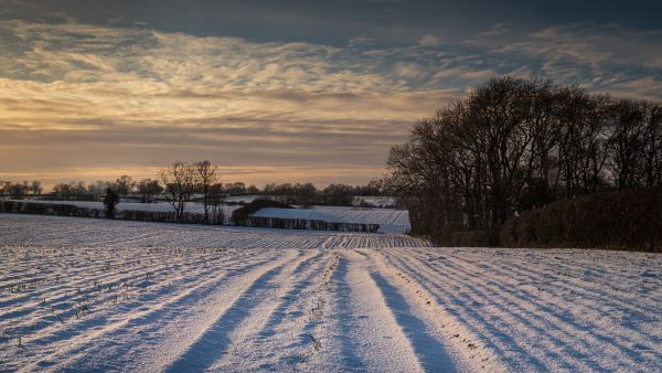 'Local Landscape' by Rosemary Gibbs of Rugby u3a