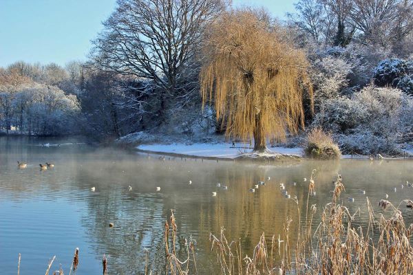 'Kingswinford Park' by Michael Smith of Kinswinford u3a