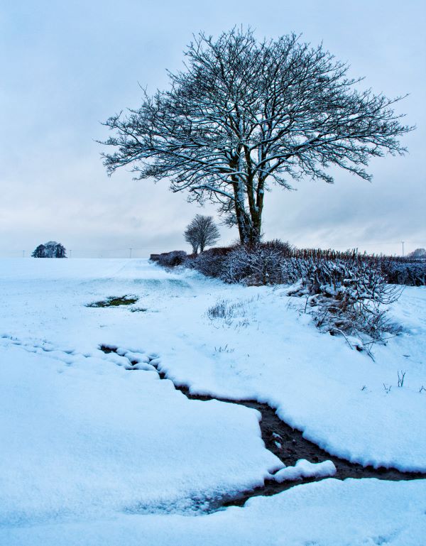 'Snow In Devizes' by Janet Rutter of Devizes & District u3a