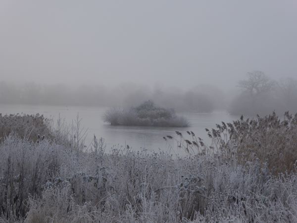 'Tweezles To Mist' by Lynda Broughton of Long Eaton & District u3a