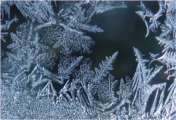 'Ferns Or Frost' by Suzanne Barr of Hadleigh Castle u3a