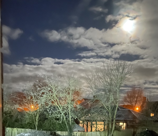 'Winter Morning Moon' by Marian Cullen of Wrekin u3a