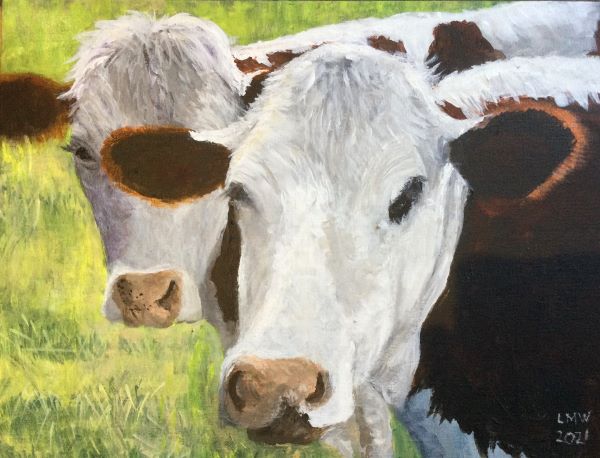 "Who’s that looking at me looking at you?” by Lesley Wiltshire, Gloucester u3a