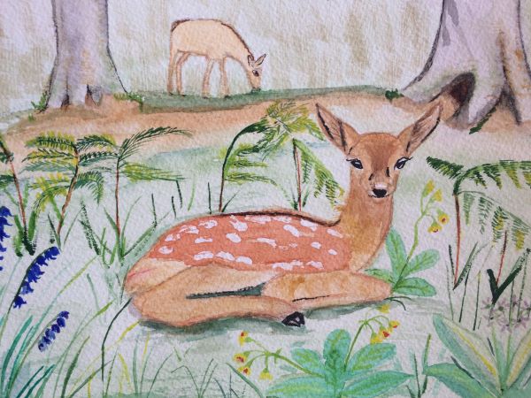 'Deer' by Brigitte Holland, Sandbach u3a