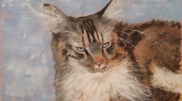 'Rufus' by Sandra Foster, Belfast u3a