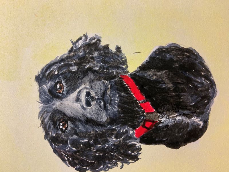 'Kiera' by Anona Hermes, Doncaster u3a