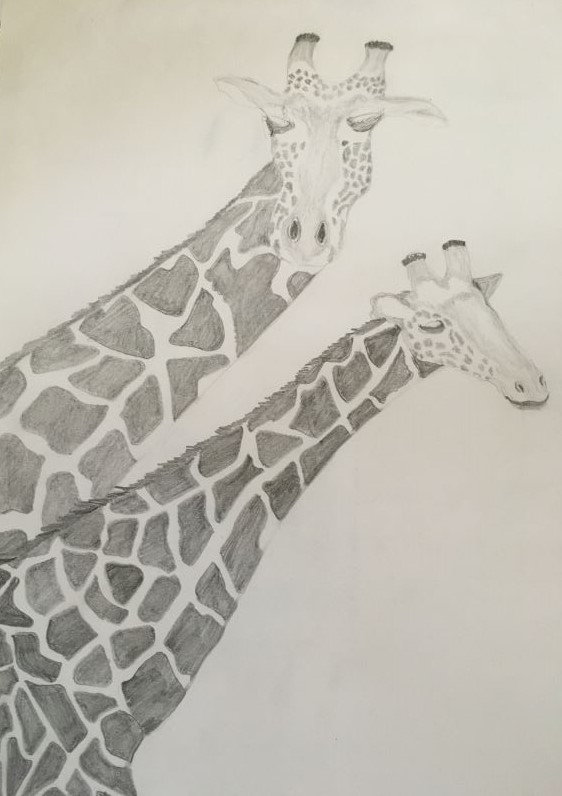 'Gentle Giants' by Sue Gibson, Whitwick & District u3a