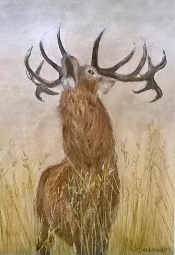 'Stag' by Valerie Salveson, Camberley u3a