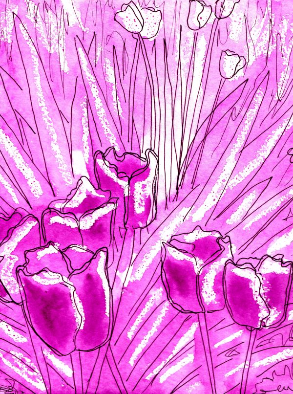 'Tulips' by Jacquie Melia, Clitheroe u3a