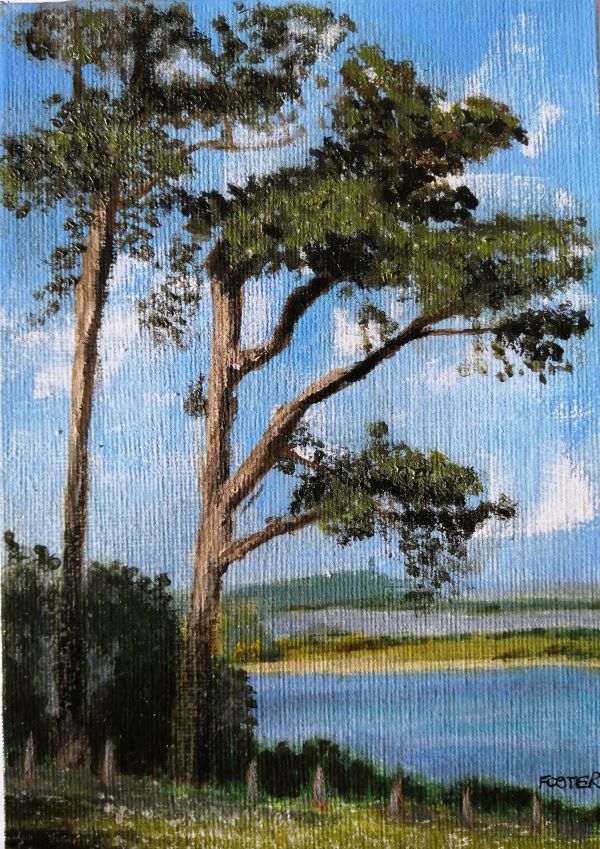 'Castle Espie' by Sandra Foster, Belfast u3a