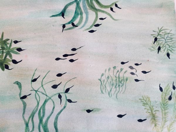 'Tadpoles' by Jacky Fatom, Marple u3a