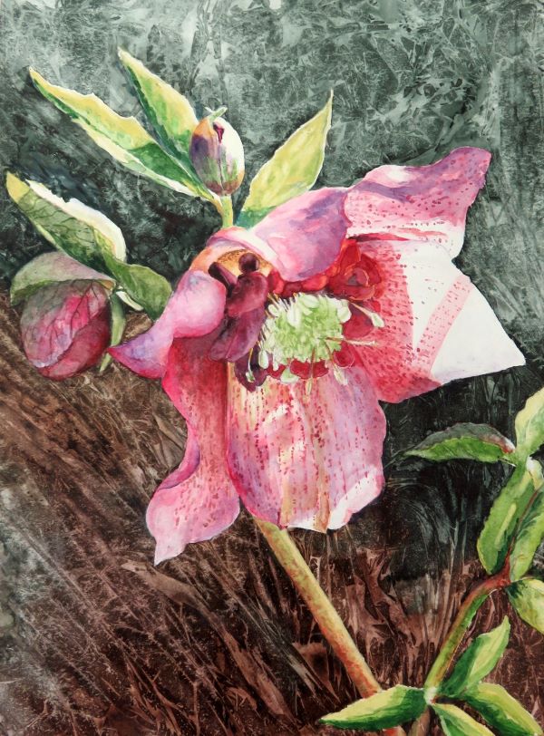 'Helibores' by Deborah Peaty, Palmers Green & Southgate u3a