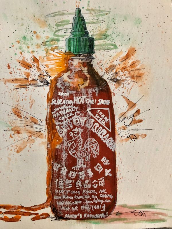 'Hot Chilli Sauce' by Jane Davies, Oswestry Borders u3a