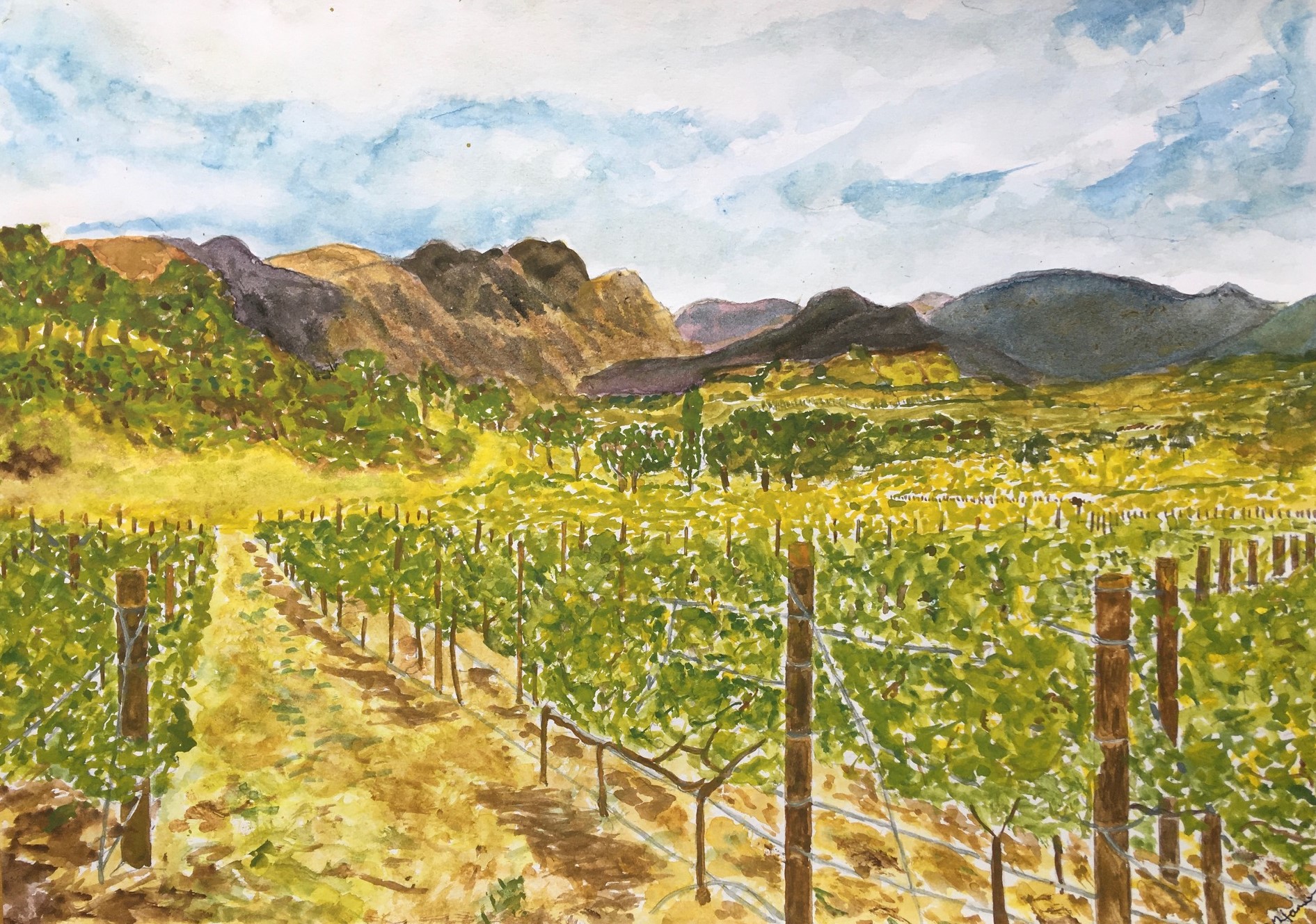 'Vineyard' by Nicholas Hanison, Hampstead Garden Suburb u3a