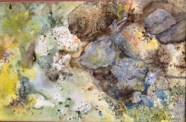 'Mossy Stones' by Mary Astbury-Saracchi, Wilmslow u3a