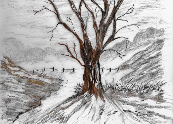 'Deep Winter' by Jacqueline Dughan of Burton-on-Trent u3a