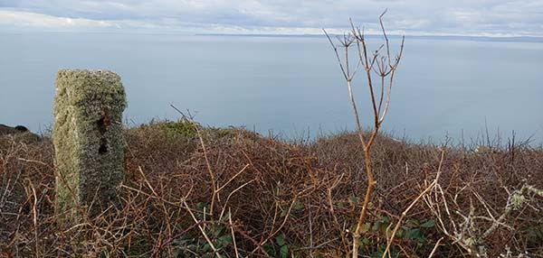 'Gate post' by Shirley Jefferies of Mull & Iona u3a