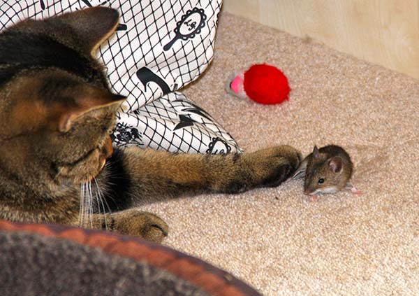 'Real deal' by Sandra Linger of Bromley u3a