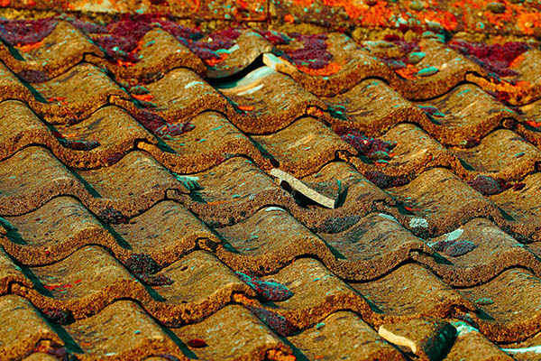 'Tiles' by Terry	Waldron of Spire U3A