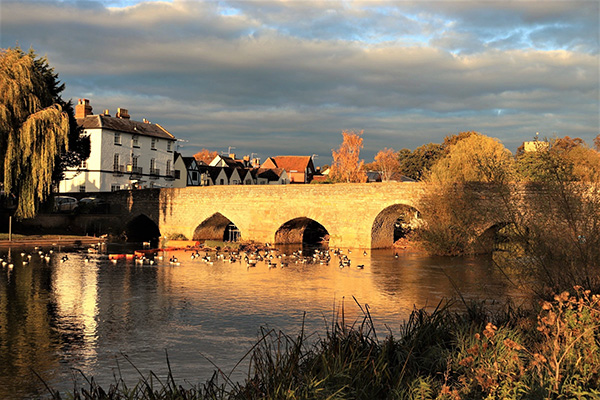 'Golden glow' by Elaine Castleford of Evesham & District U3A
