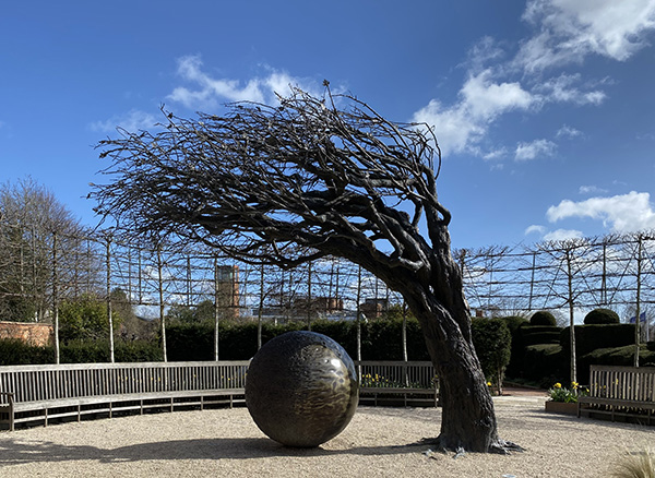 'Hawthorn Tree' by Angela  Reid of Balsall Common U3A