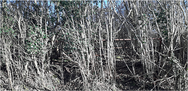 'A Barred Gate' by Jim Melville of Balsall Common u3a