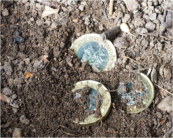 'Treasure' by John Bolt of Balsall Common u3a