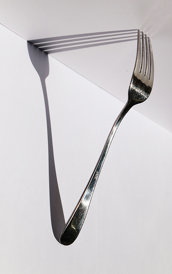 'Fork shadow' by Jonathan Ruddle of Hartley Wintney & District U3A