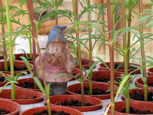 This is Ian Weatherley of Witham & District (Essex) U3A