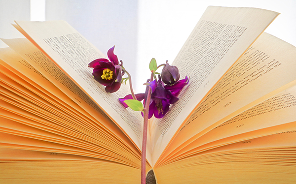 This is Jeannie Moore of Saltburn District U3A