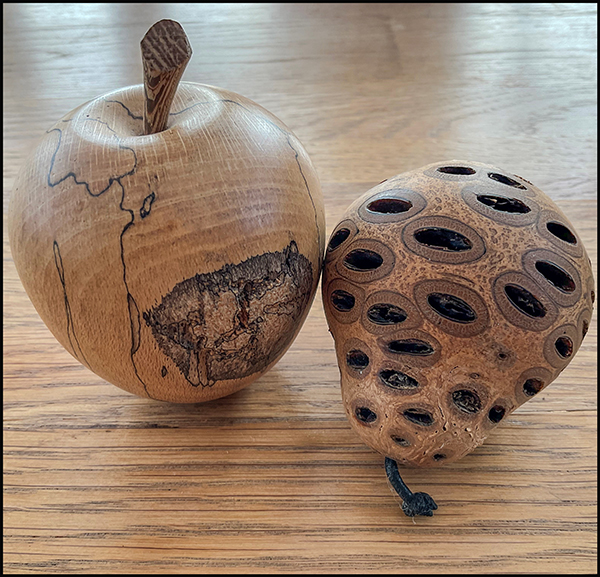 'Treen' by Susan Salmon of North Cotswold u3a