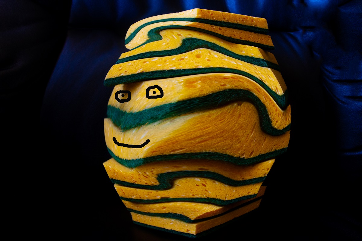 'Sponges' by Julie Dyer of Turriff U3A