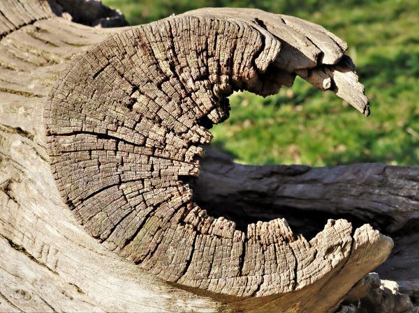 C is for Change by John Owen of Worcester u3a