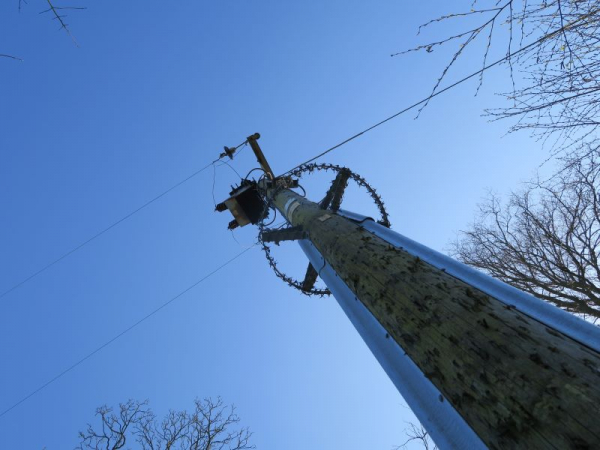 'Telegraph Pole' by Jackie Price St Helens u3a