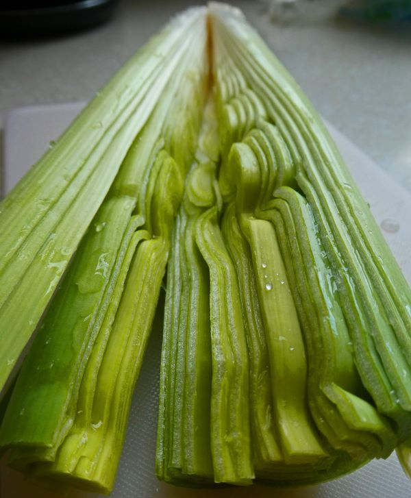 'Leek with a difference' by Carol Greatrex of Broomfield & District u3a