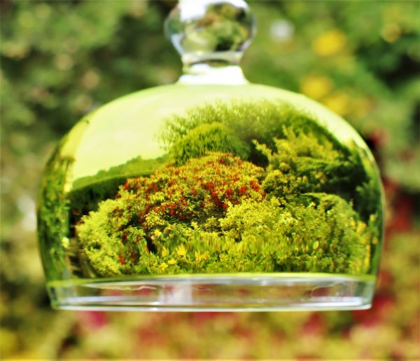 'Our World in a Wine Glass' by John Owen of Worcester Area u3a