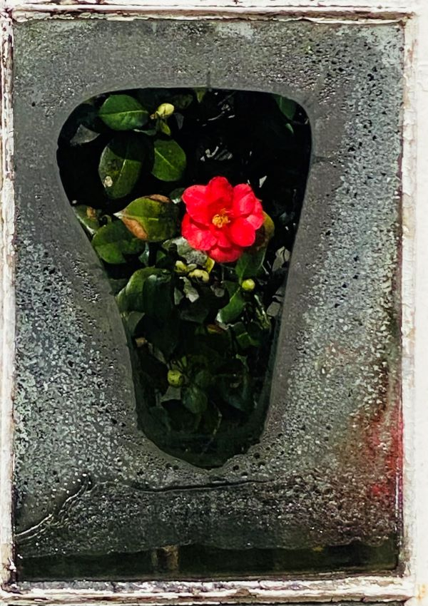 'Through the Window' by Angela Reid of Balsall Common u3a