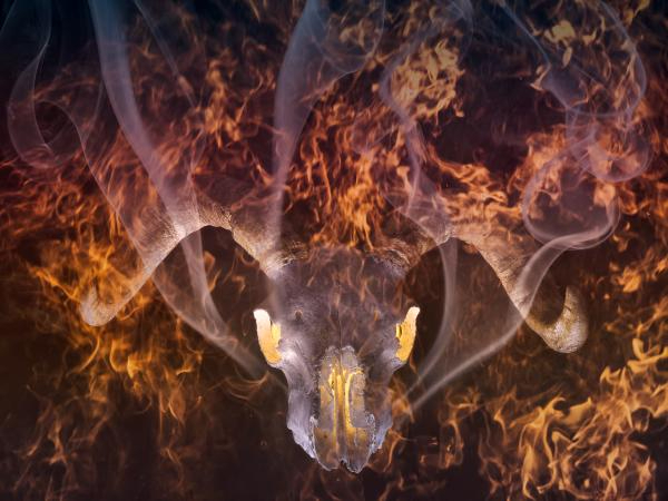 'Skull' by Rosemary Gibb of Ruby u3a