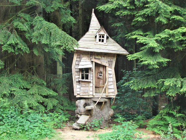 'Wood House in the Woods' by Steve Skinner of Horndean & District u3a