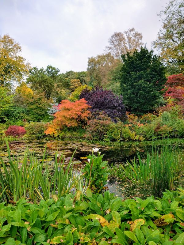 'Autumn Colours' by Gillian of Staffordshire u3a