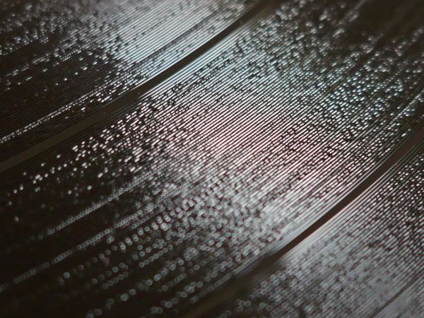 'Musical Groove' by Francis Greatrex of Broomfield & District u3a