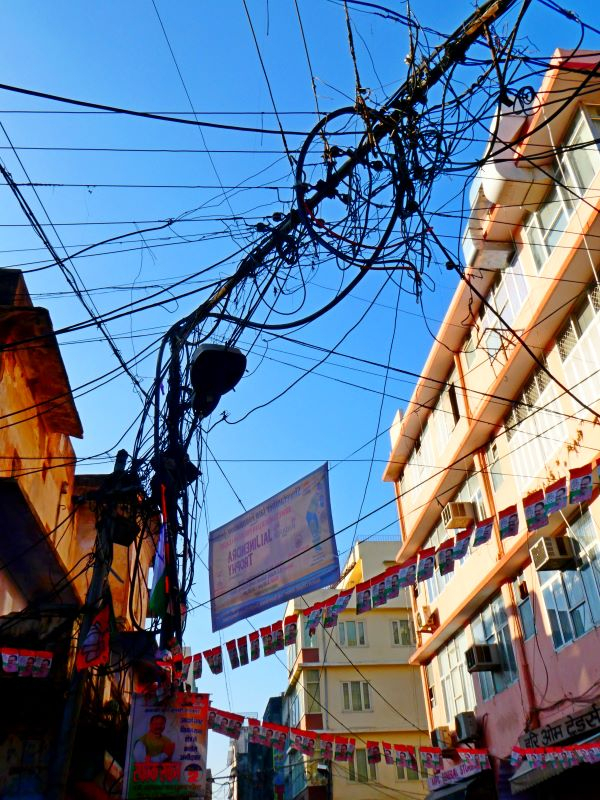 'Jaipur Cable Jungle' by Julia Wallace of Northampton u3a