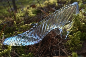 Cinderella - What Happened Next