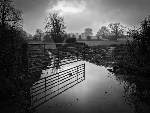 'Don McCullen exhibition' by Denise Bailey of Camelot and Shepton Mallet u3a