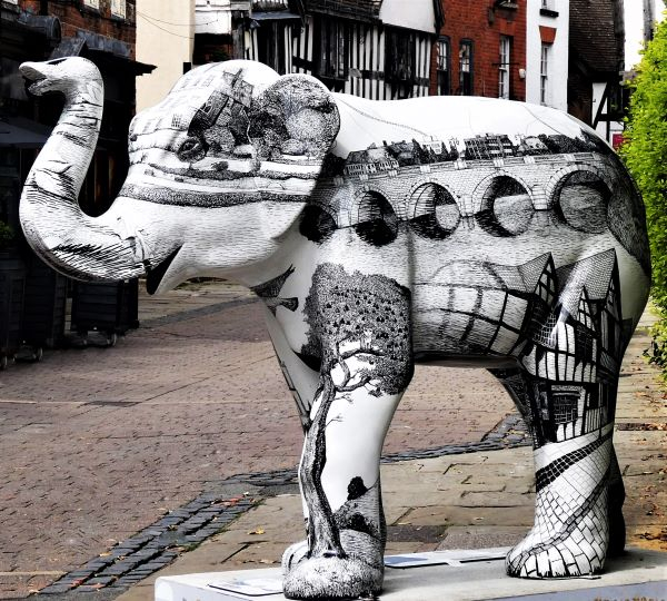 ‘Inky’ the Elephant by John Owen of Worcester Area u3a